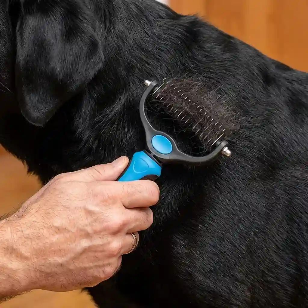 Pet grooming in action